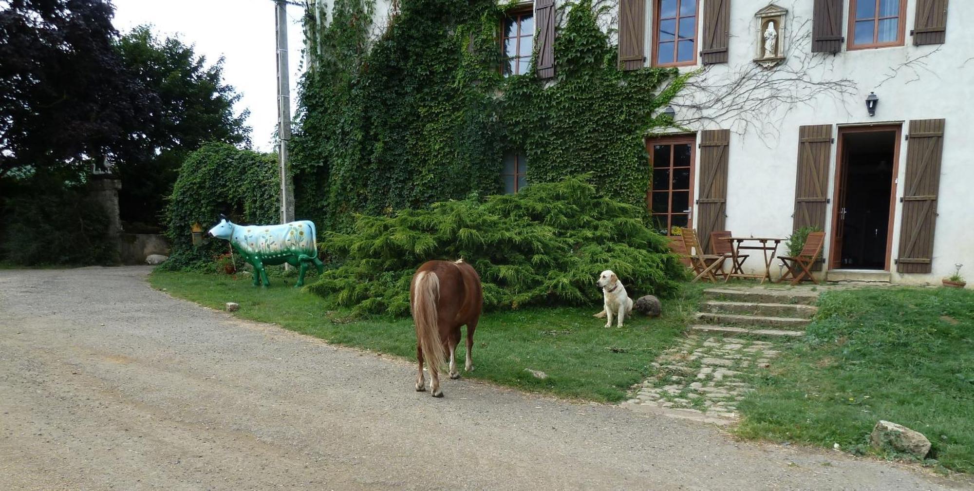 Ferme Du Montheu Bed and Breakfast Dommartin sous Amance Exteriör bild